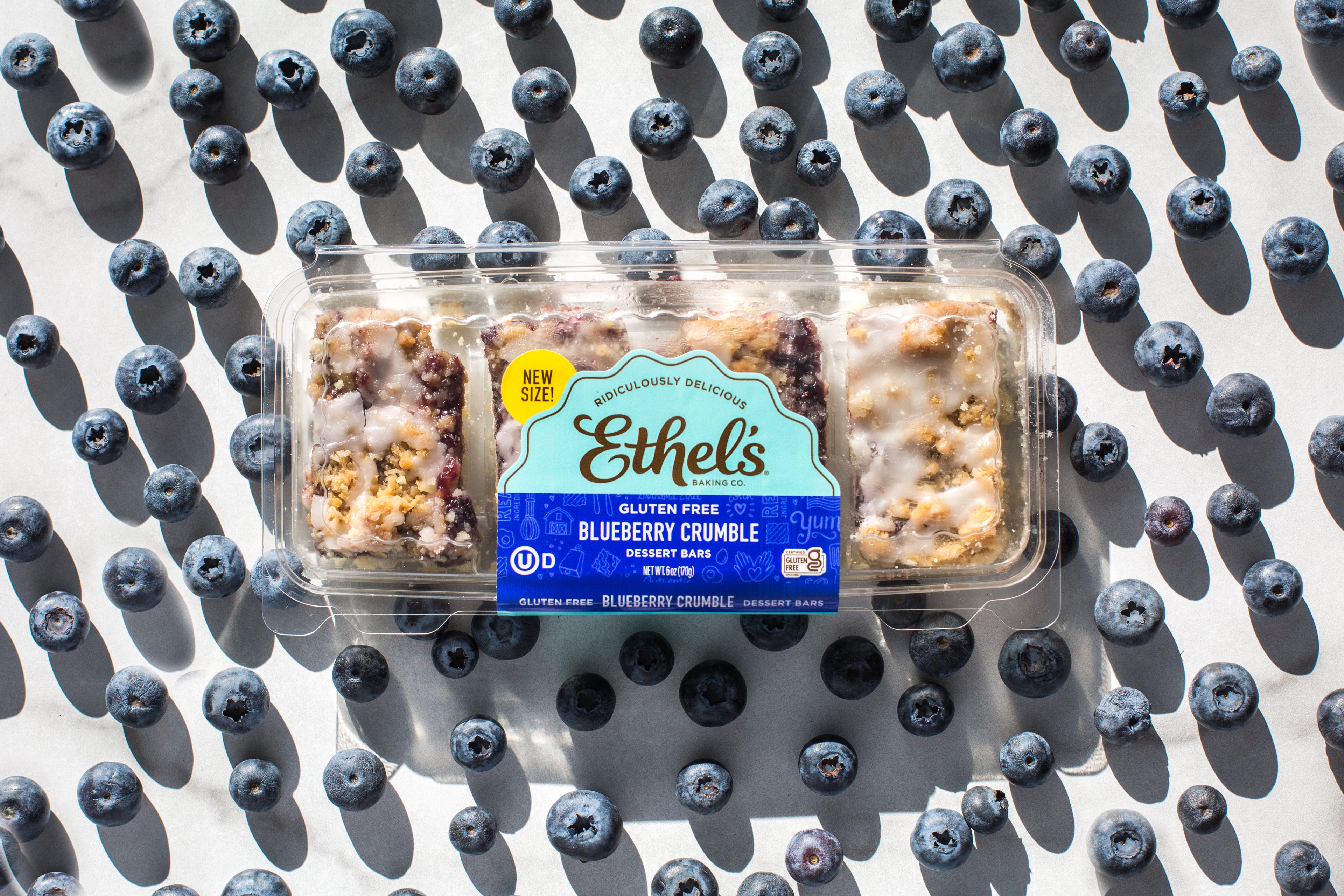 Wild Blueberry Crumble