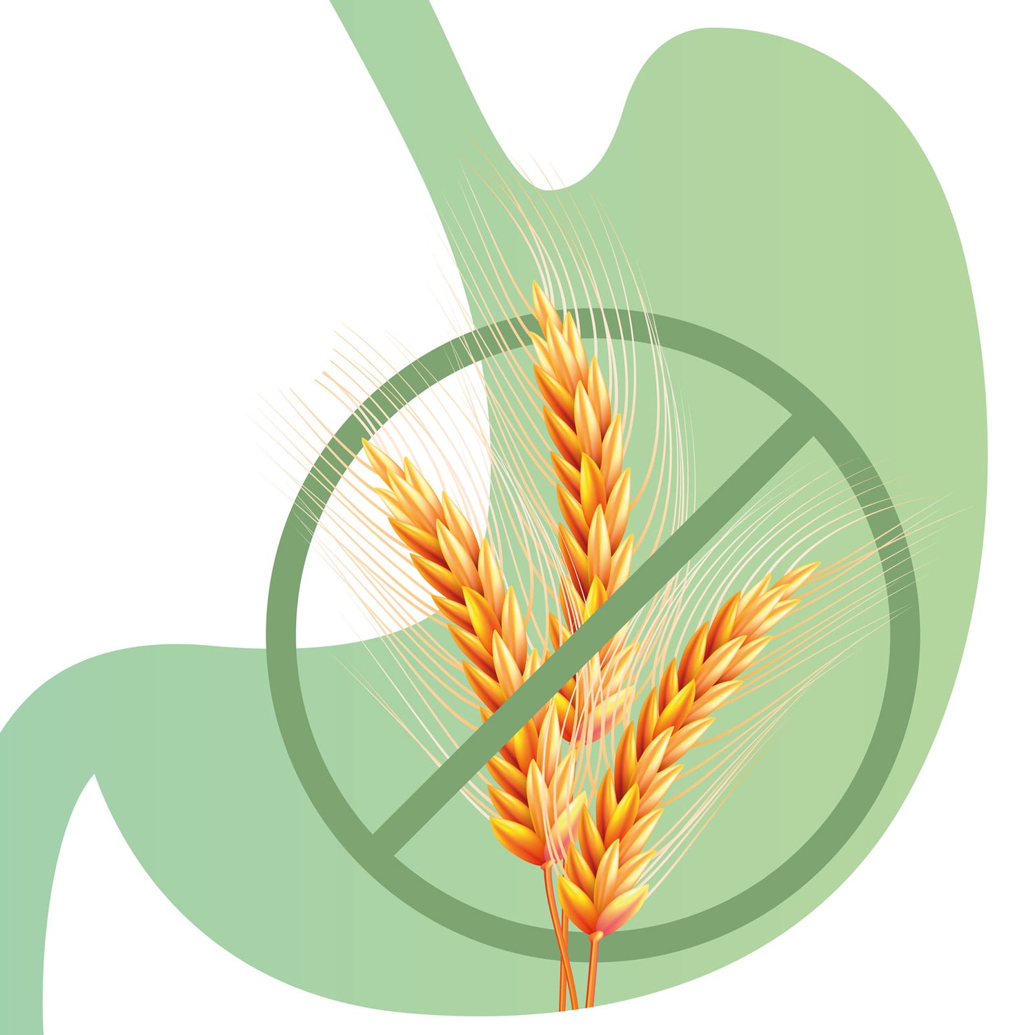 What is Celiac Disease?